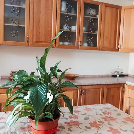 Al Civico Centocinquantasei * Latiano